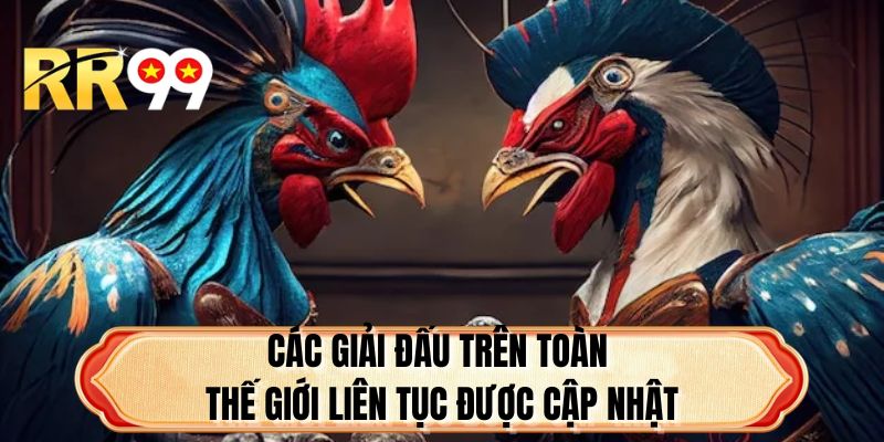 Các giải đấu trên toàn thế giới liên tục được cập nhật