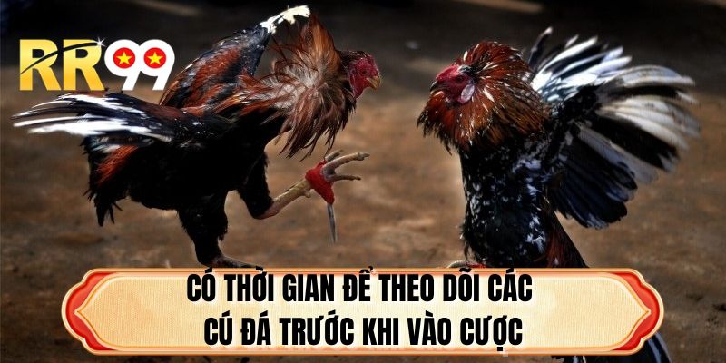 Có thời gian để theo dõi các cú đá trước khi vào cược