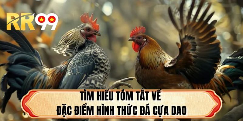 Tìm hiểu tóm tắt về đặc điểm hình thức đá cựa dao RR99